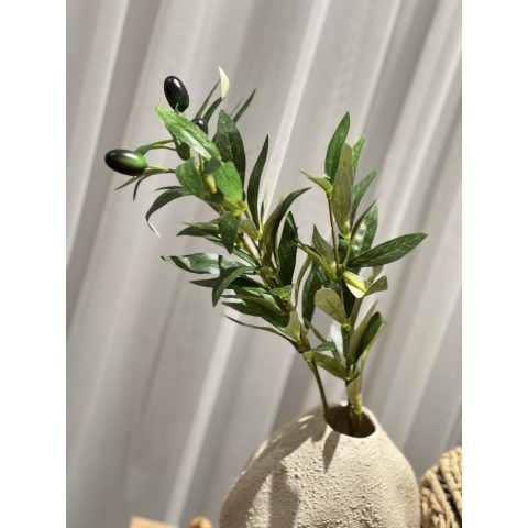 İthal Zeytin Dalı 50 cm 